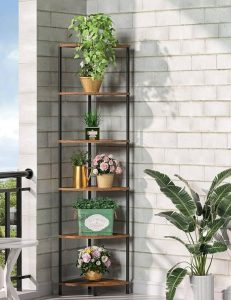 Create a Small Plant Corner